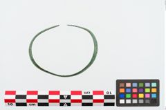 Foto von Bronzearmreif (NHMW-PRAE-024842)